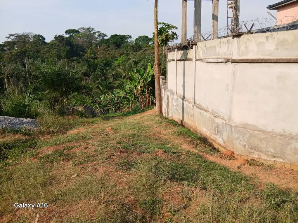 Terrain à vendre à Yaoundé