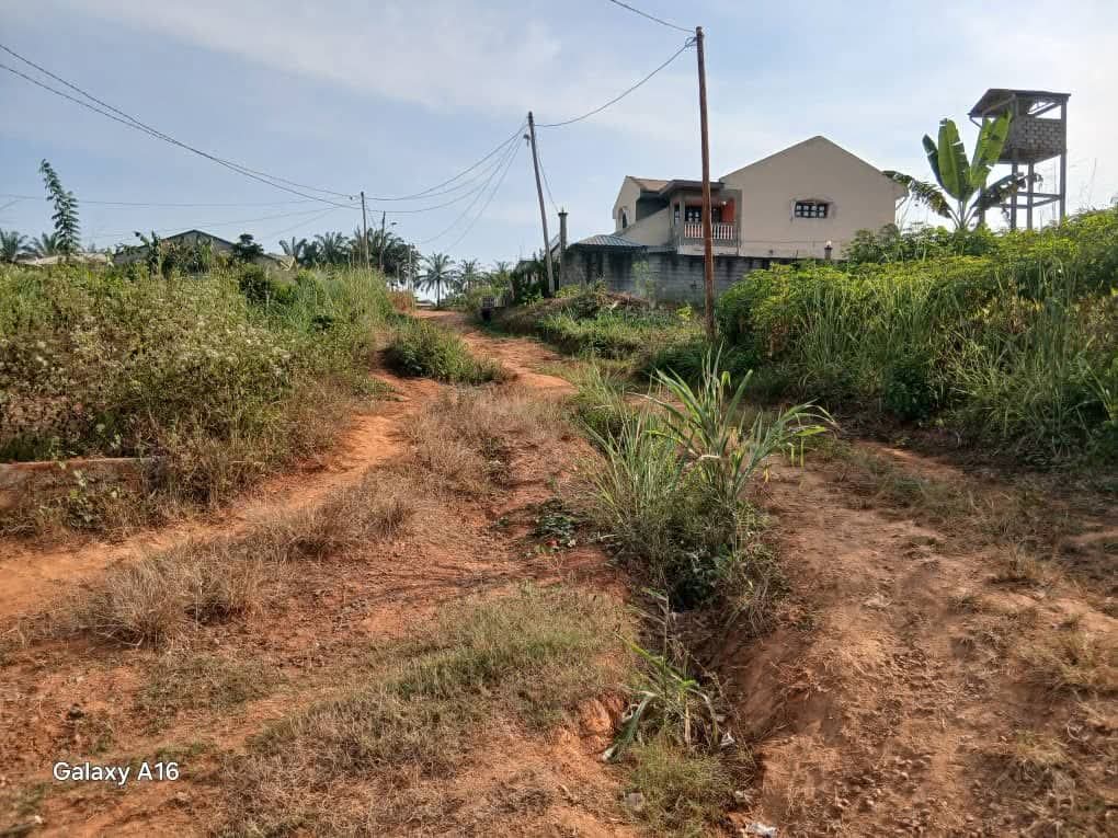 Agence immobilière à Yaoundé