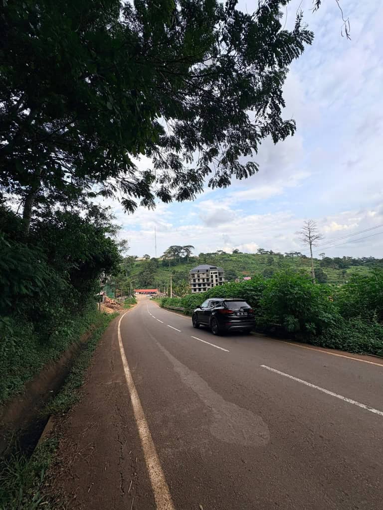 Agence immobilière à Yaoundé