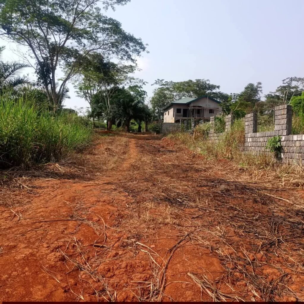 The Art of Drawing Readers In: Your attractive post title goes here