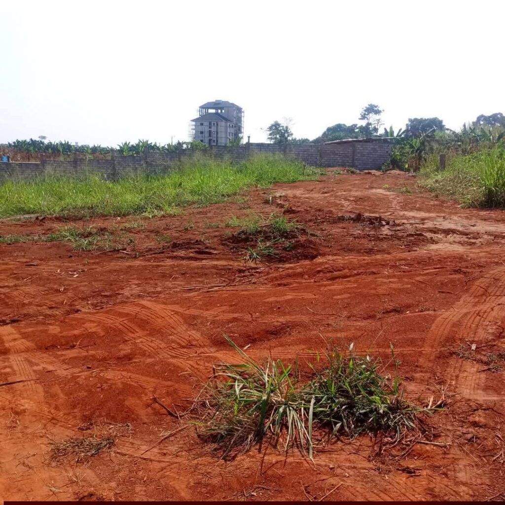 Mastering the First Impression: Your intriguing post title goes here